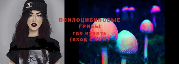 СК Медногорск