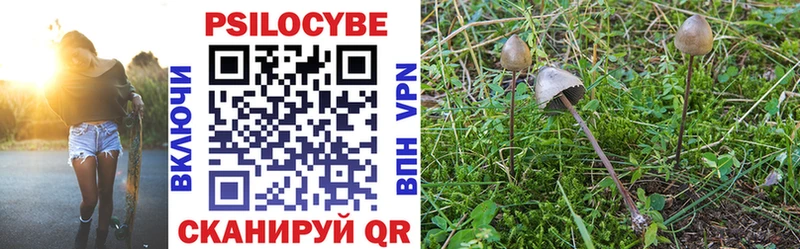 купить  цена  Сысерть  blacksprut зеркало  Галлюциногенные грибы Psilocybe 