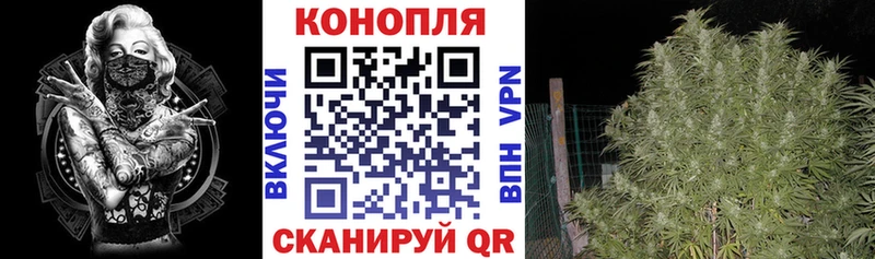 Канабис гибрид  Сысерть 